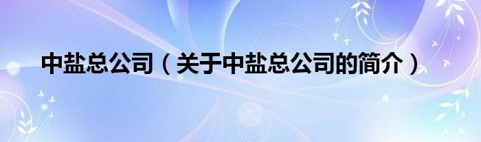 中盐总公司（关于中盐总公司的简介）