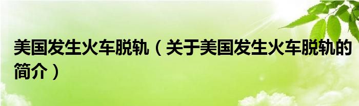 美国发生火车脱轨（关于美国发生火车脱轨的简介）