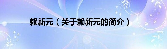 赖新元（关于赖新元的简介）