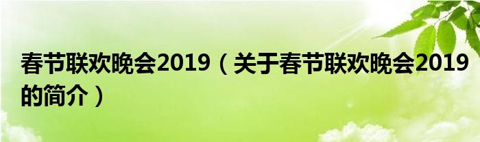 春节联欢晚会2019（关于春节联欢晚会2019的简介）