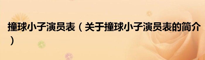 撞球小子演员表（关于撞球小子演员表的简介）