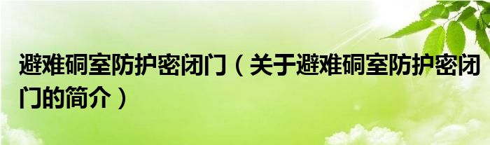 避难硐室防护密闭门（关于避难硐室防护密闭门的简介）