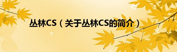 丛林CS（关于丛林CS的简介）