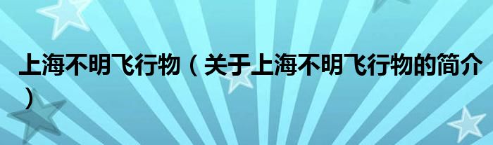 上海不明飞行物（关于上海不明飞行物的简介）