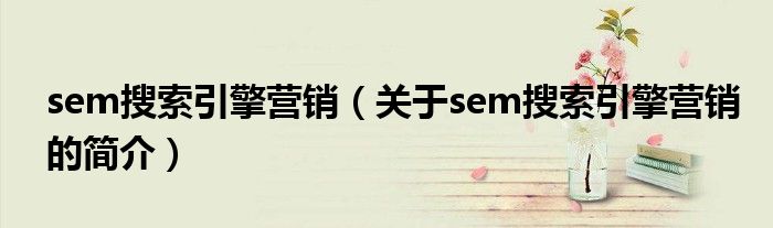 sem搜索引擎营销（关于sem搜索引擎营销的简介）