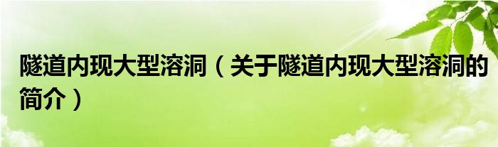 隧道内现大型溶洞（关于隧道内现大型溶洞的简介）