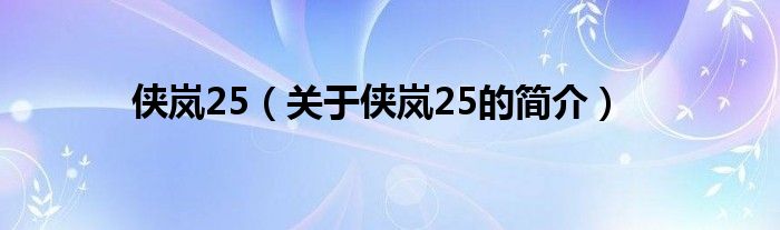 侠岚25（关于侠岚25的简介）