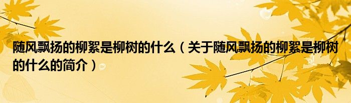 随风飘扬的柳絮是柳树的什么（关于随风飘扬的柳絮是柳树的什么的简介）