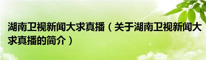 湖南卫视新闻大求真播（关于湖南卫视新闻大求真播的简介）