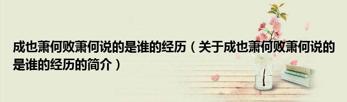 成也萧何败萧何说的是谁的经历（关于成也萧何败萧何说的是谁的经历的简介）