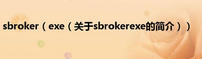 sbroker（exe（关于sbrokerexe的简介））