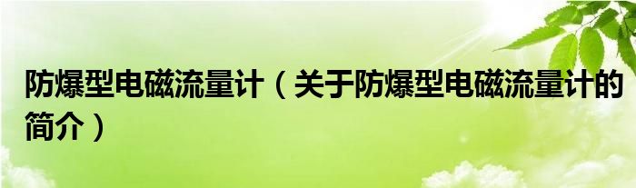 防爆型电磁流量计（关于防爆型电磁流量计的简介）