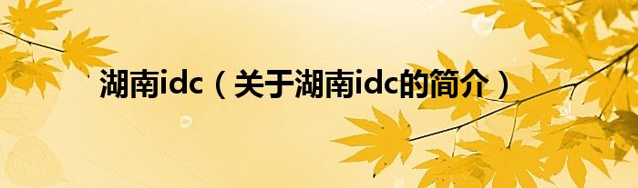 湖南idc（关于湖南idc的简介）