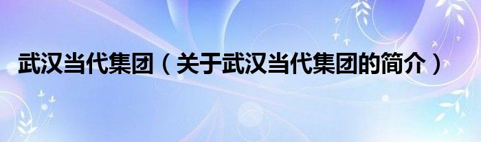 武汉当代集团（关于武汉当代集团的简介）