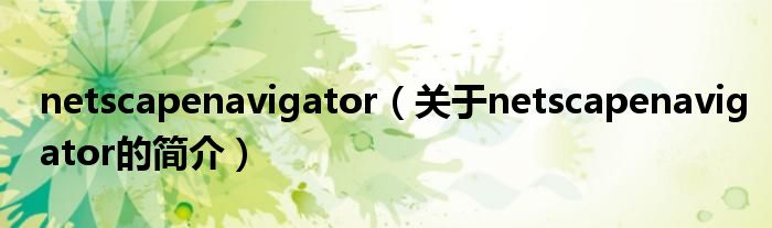 netscapenavigator（关于netscapenavigator的简介）