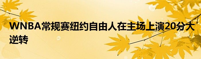 WNBA常规赛纽约自由人在主场上演20分大逆转