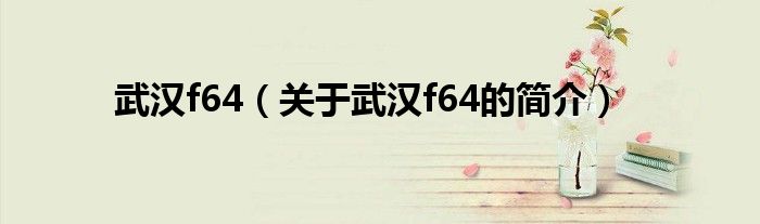 武汉f64（关于武汉f64的简介）