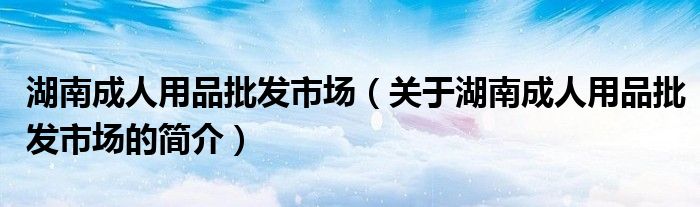 湖南成人用品批发市场（关于湖南成人用品批发市场的简介）