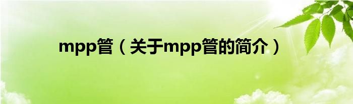 mpp管（关于mpp管的简介）