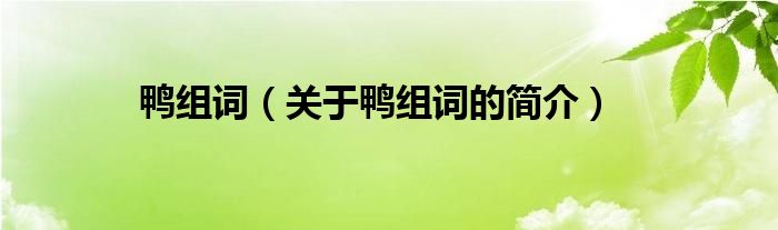 鸭组词（关于鸭组词的简介）