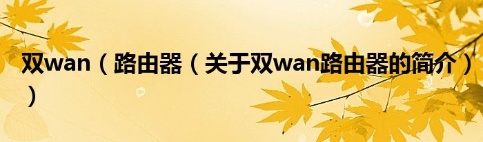 双wan（路由器（关于双wan路由器的简介））