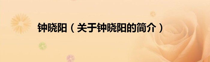 钟晓阳（关于钟晓阳的简介）