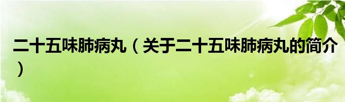 二十五味肺病丸（关于二十五味肺病丸的简介）