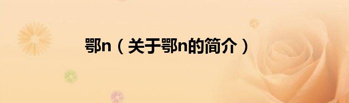 鄂n（关于鄂n的简介）