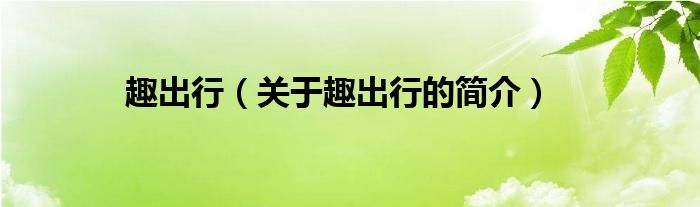 趣出行（关于趣出行的简介）