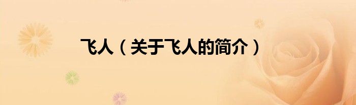 飞人（关于飞人的简介）