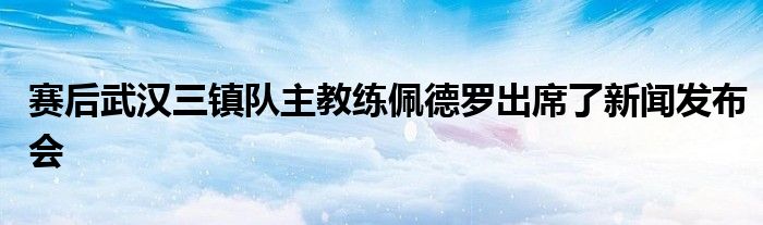 赛后武汉三镇队主教练佩德罗出席了新闻发布会