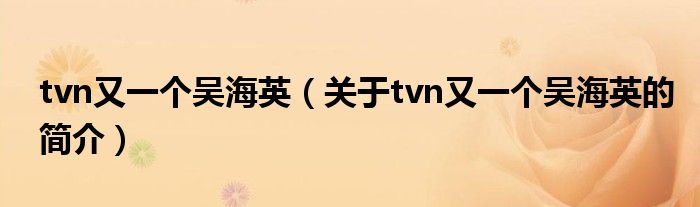 tvn又一个吴海英（关于tvn又一个吴海英的简介）
