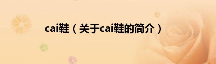 cai鞋（关于cai鞋的简介）