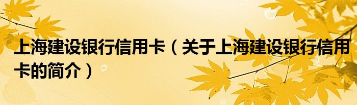 上海建设银行信用卡（关于上海建设银行信用卡的简介）