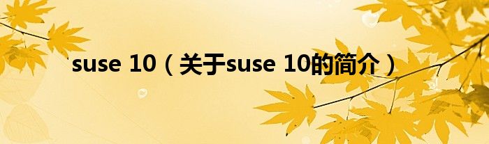 suse 10（关于suse 10的简介）