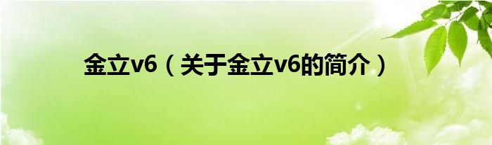 金立v6（关于金立v6的简介）