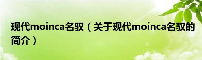 现代moinca名驭（关于现代moinca名驭的简介）