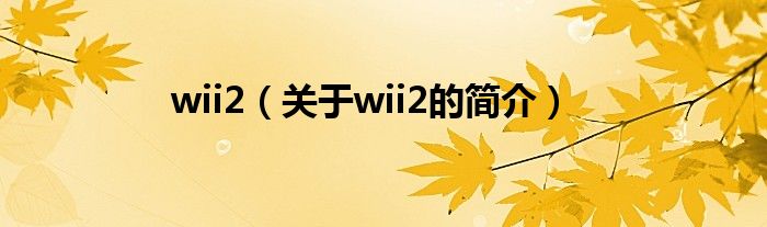 wii2（关于wii2的简介）