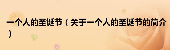 一个人的圣诞节（关于一个人的圣诞节的简介）