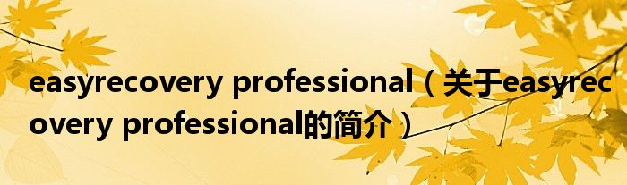 easyrecovery professional（关于easyrecovery professional的简介）