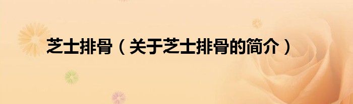 芝士排骨（关于芝士排骨的简介）