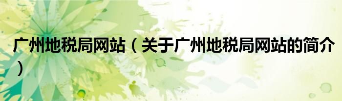 广州地税局网站（关于广州地税局网站的简介）