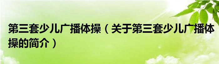 第三套少儿广播体操（关于第三套少儿广播体操的简介）