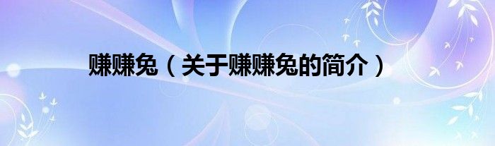 赚赚兔（关于赚赚兔的简介）