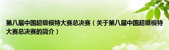 第八届中国超级模特大赛总决赛（关于第八届中国超级模特大赛总决赛的简介）