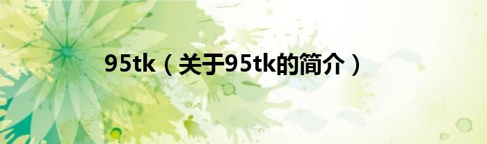 95tk（关于95tk的简介）