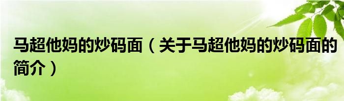 马超他妈的炒码面（关于马超他妈的炒码面的简介）