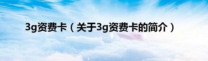 3g资费卡（关于3g资费卡的简介）