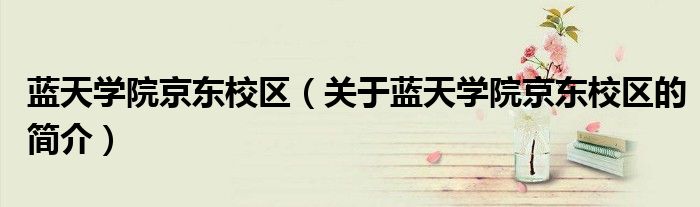 蓝天学院京东校区（关于蓝天学院京东校区的简介）