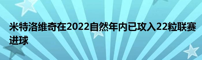 米特洛维奇在2022自然年内已攻入22粒联赛进球